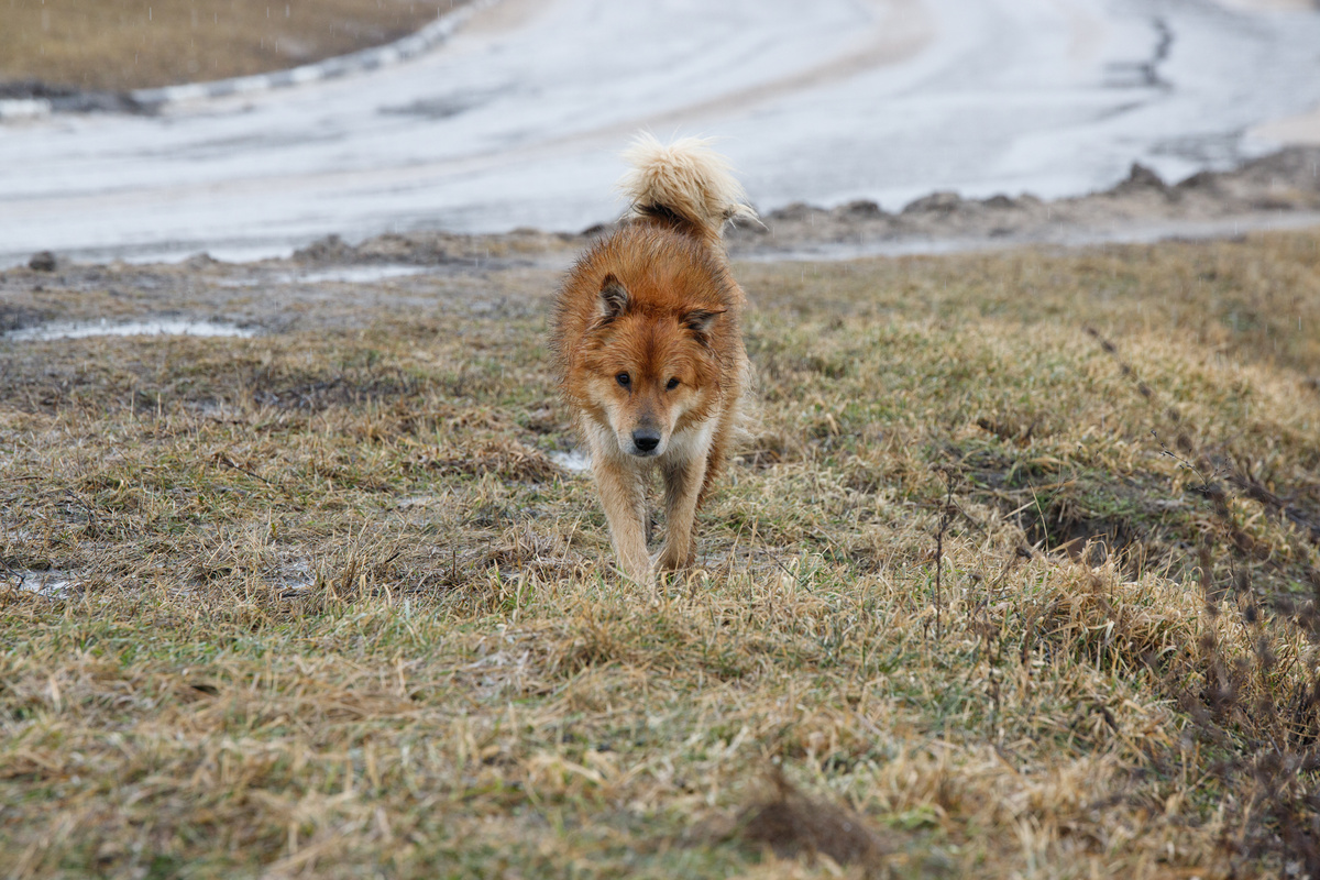 Фото: Тульская служба новостей