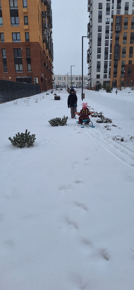 Зимние прогулки☃️