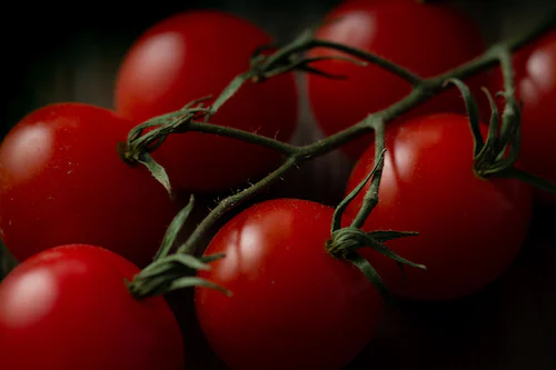 Фото: unsplash.com