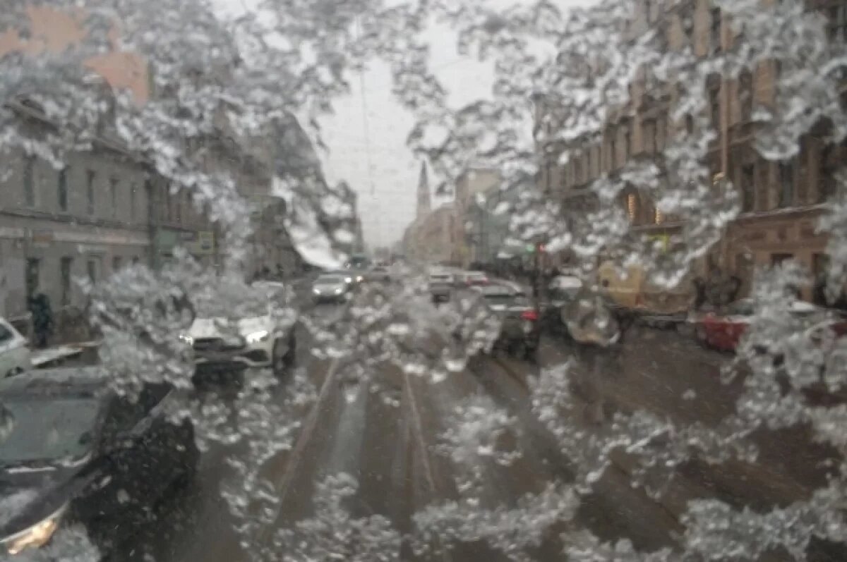    10 декабря в Петербург придёт короткая оттепель, а за ней – снег