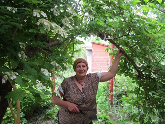 А что топор в руках, так и хозяйка считает, что этот инструмент – решение многих проблем