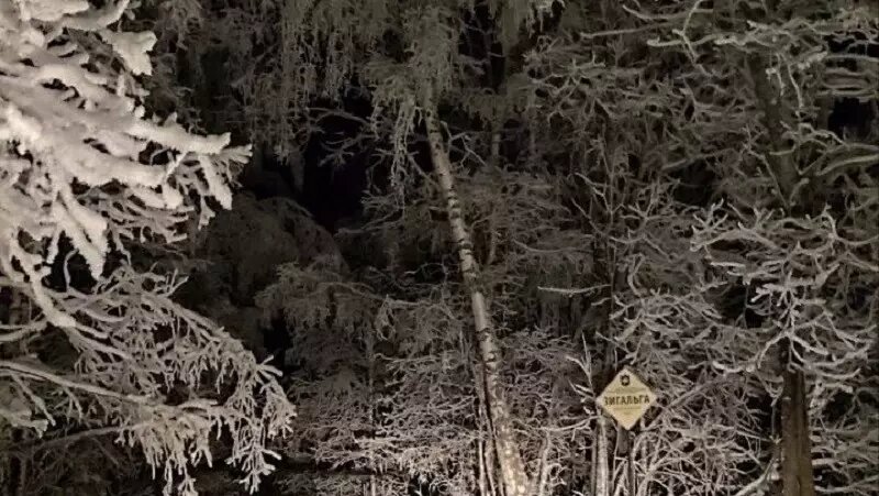     Источник: Национальный парк «Зигальга»