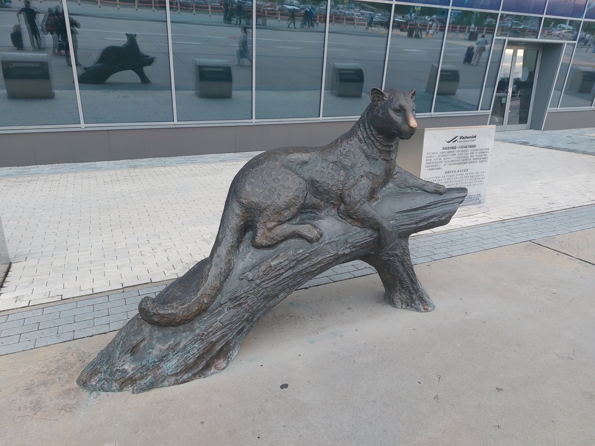 Дальневосточный леопард, которого я мог бы упустить если бы сделал всё правильно)