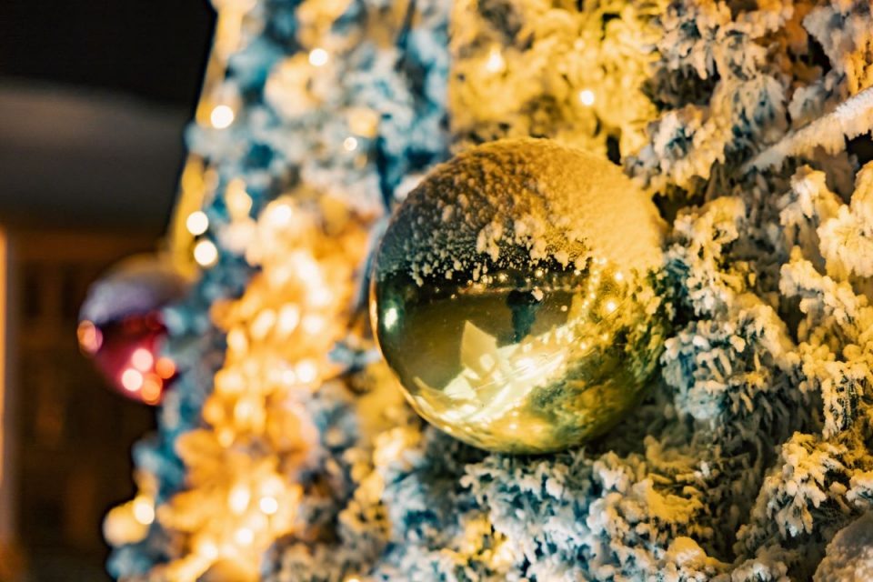 Фото: Андрей Сорокин, ЯСИА