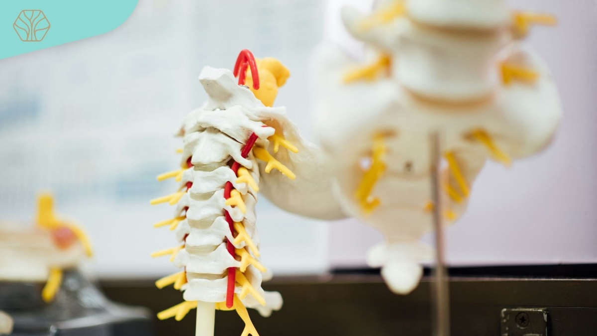 На ранних стадиях боли возникают периодически, преимущественно после нагрузок или долгого пребывания в одной позе.
