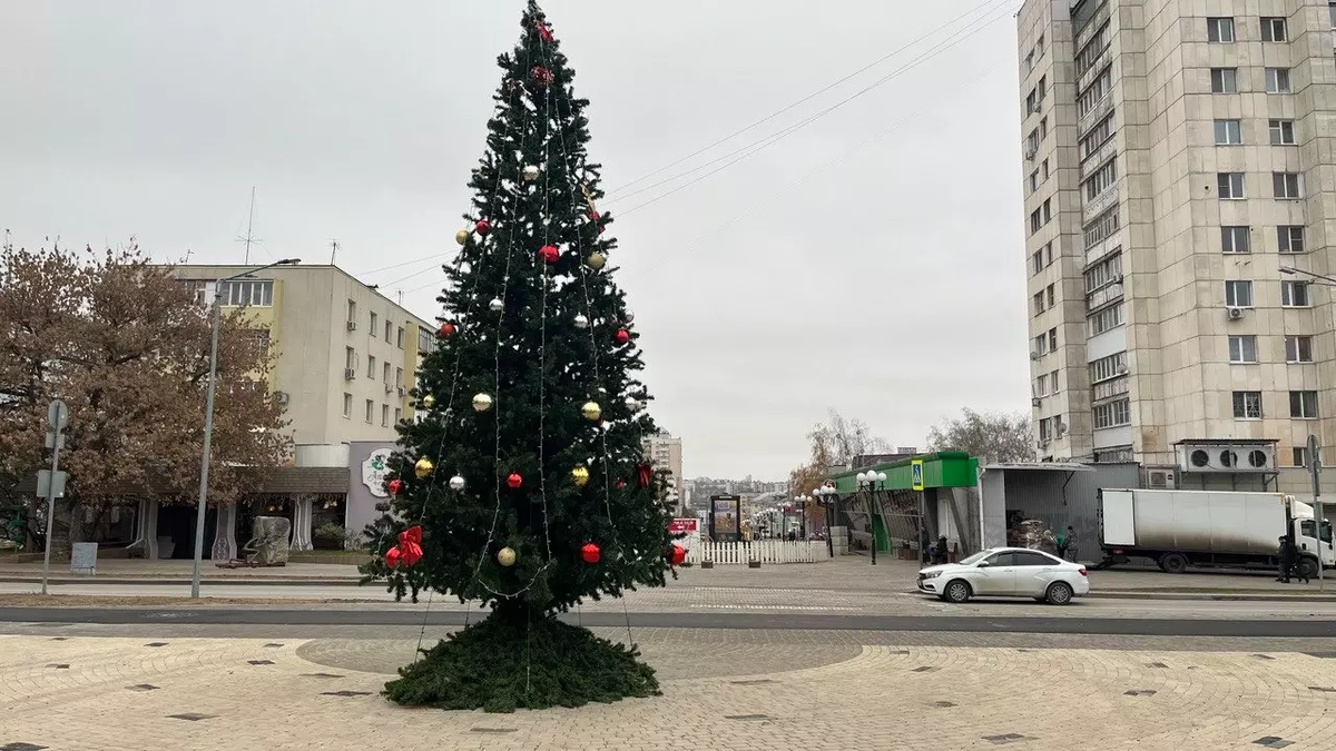 Фото: Алёна Мальцева. bel.ru