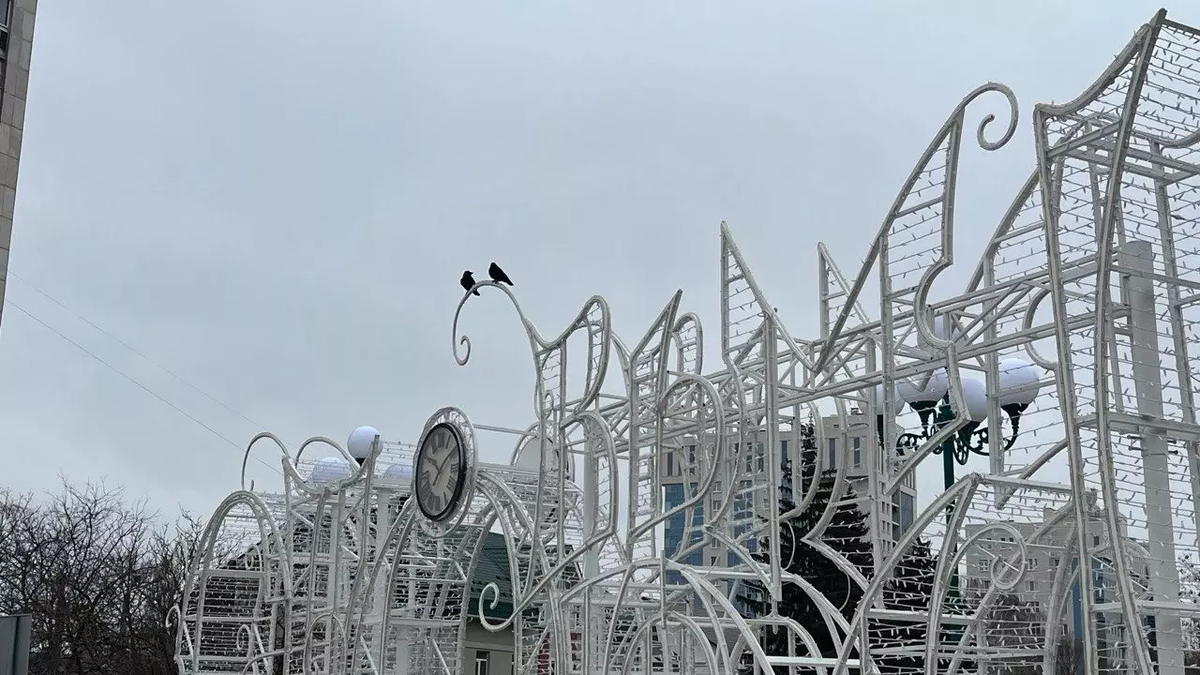 Фото: Алёна Мальцева. bel.ru.