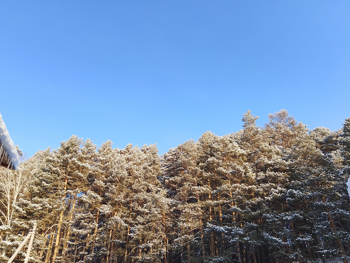 Вот действительно зимняя сказка, по другому и не скажешь