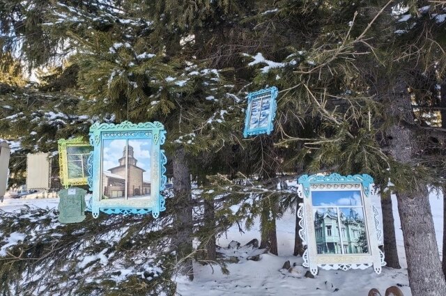    Фото: Администрация Томской области