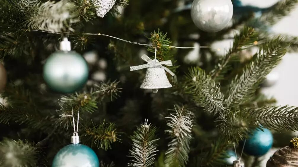     Источник: www.freepik.com