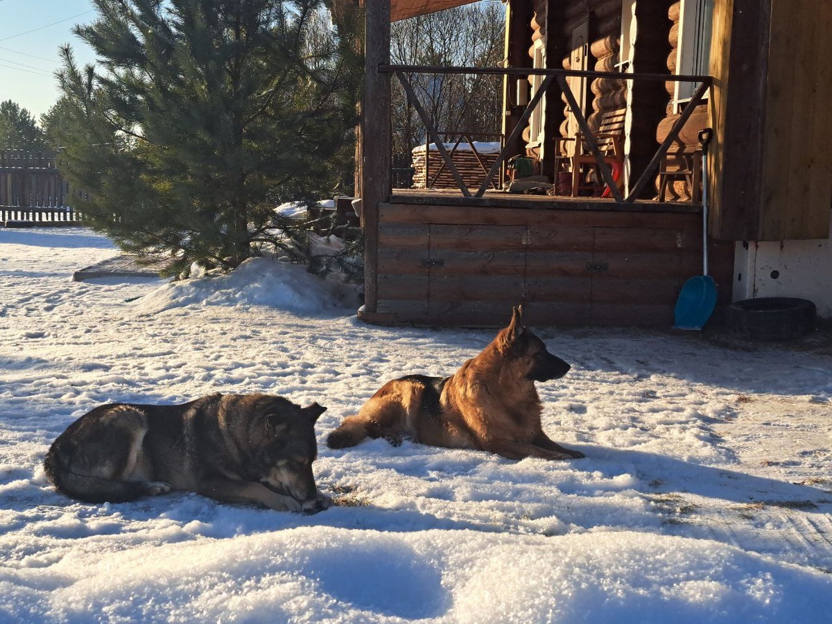 Финик и подруга Ксиша.