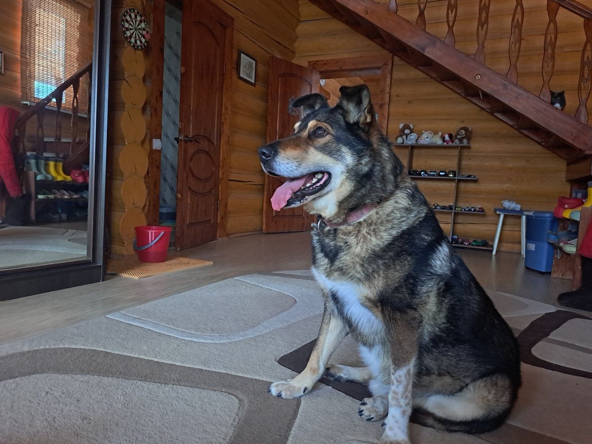 К охране готов !!! Примерно так)))  