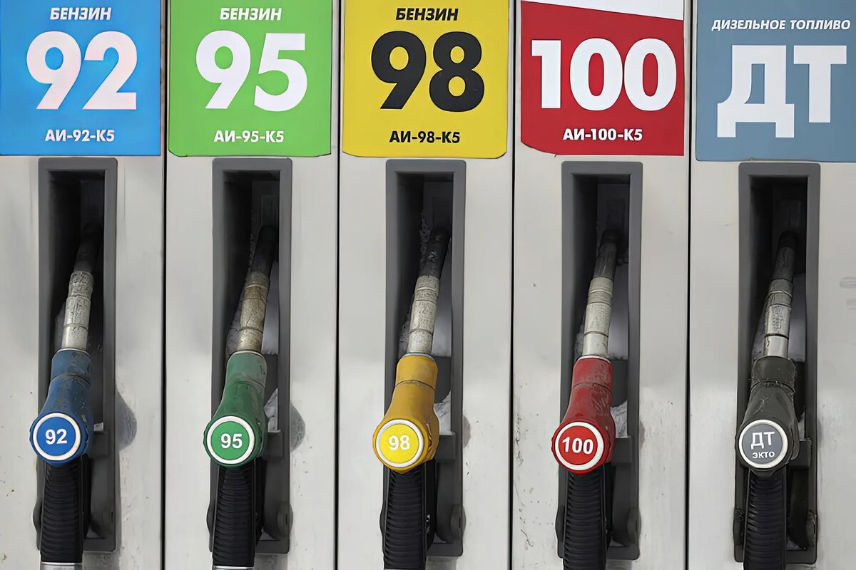 Фото из интернета