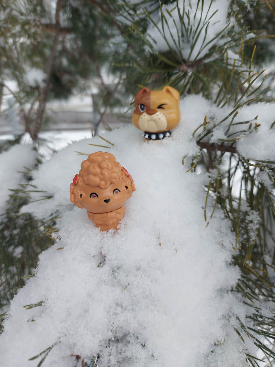 На прогулке