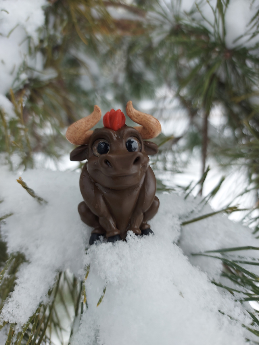 Фёдор на сосне))