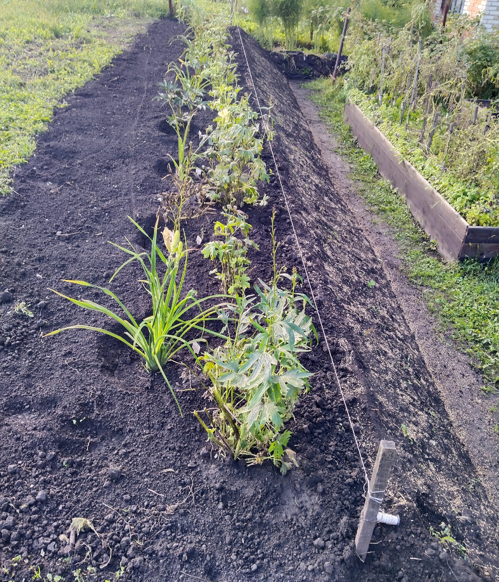 Вид с торца в сторону соседей. На склоне семена газона