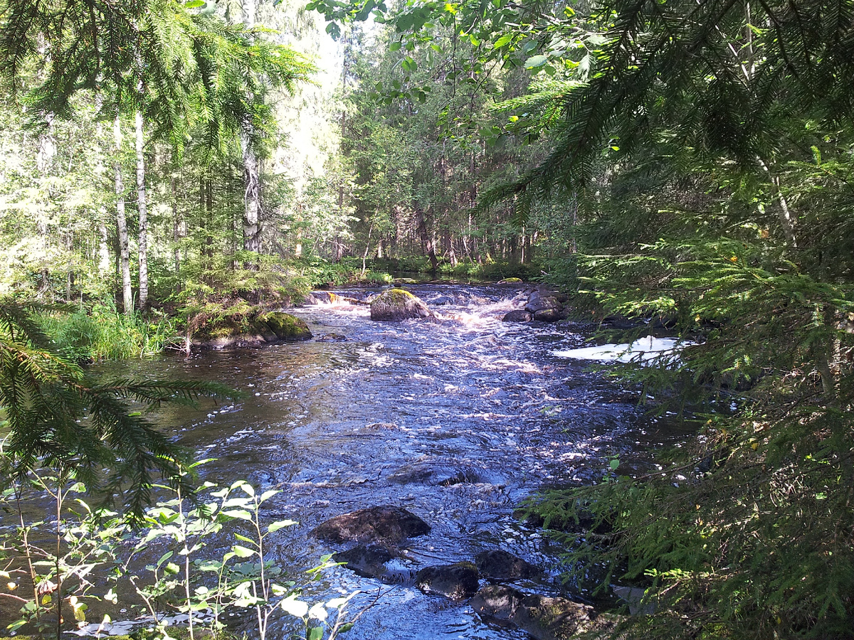Река с порогами, на берегу которой стояла палатка