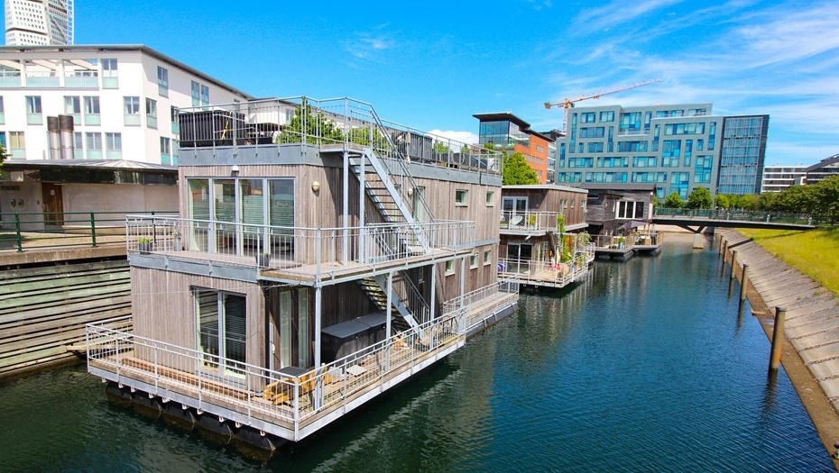    Автор фото: vostock-photo