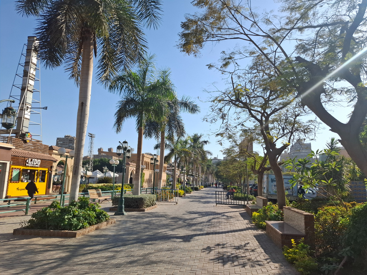 Вчера в каирском клубе, пока дети в школе