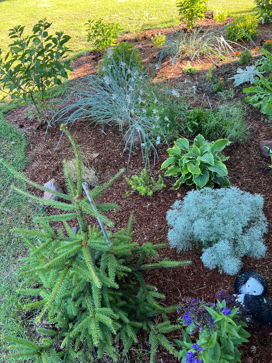 Как ярко выделяются серебристые оттенки в композиции 