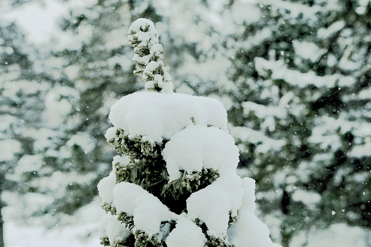 Донхён о морозах: можно пережить