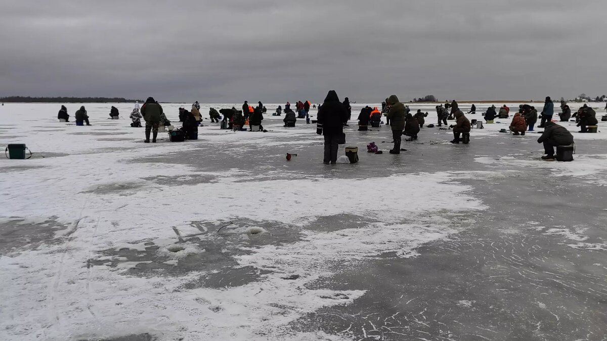     Источник: «Беломорская трибуна» — наша газета / vk