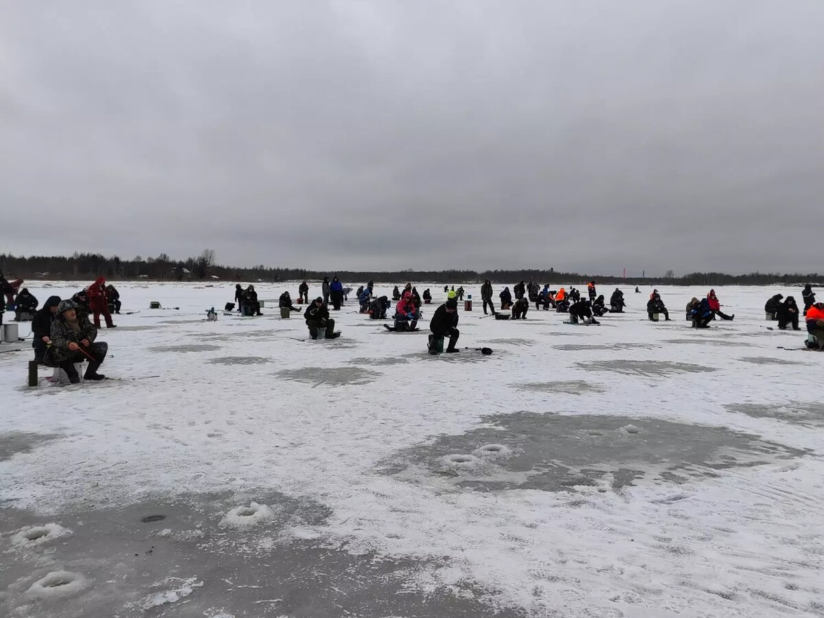     Источник: «Беломорская трибуна» — наша газета / vk