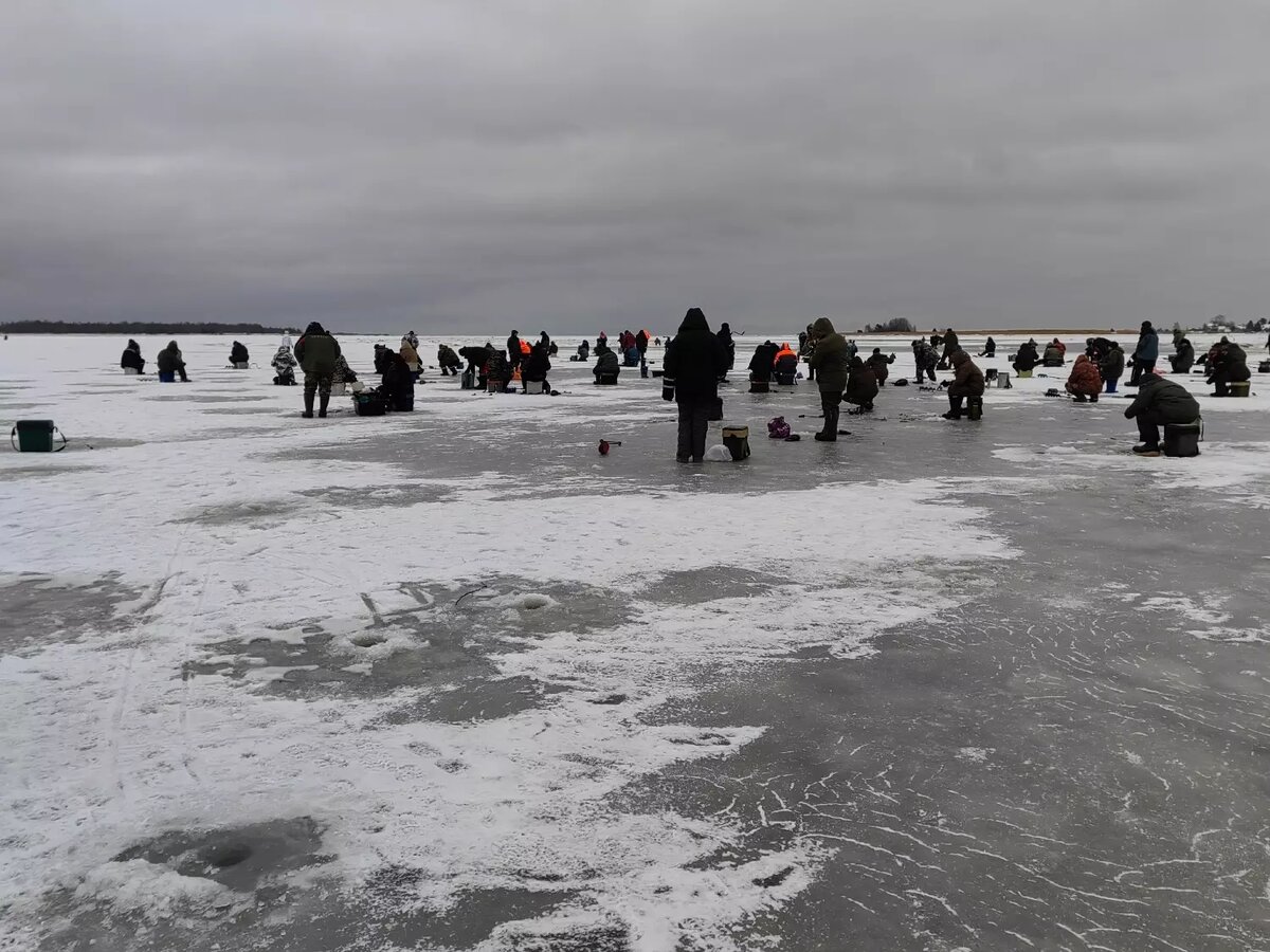     Источник: «Беломорская трибуна» — наша газета / vk