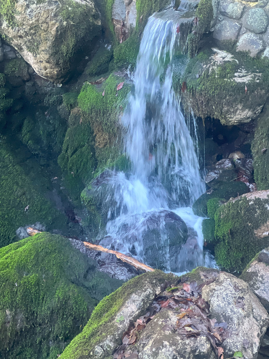 какая у нас красивая природа. Смотришь и душа радуется