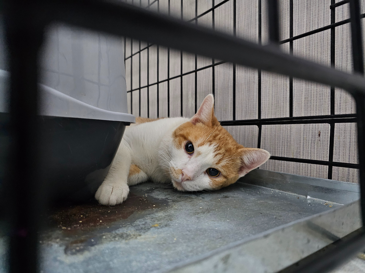 Фото автора. Сынок.