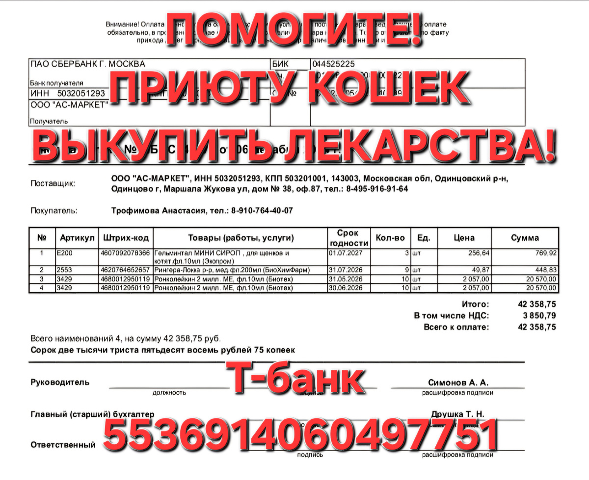 Фото автора. Вот это лекарство надо выкупать.