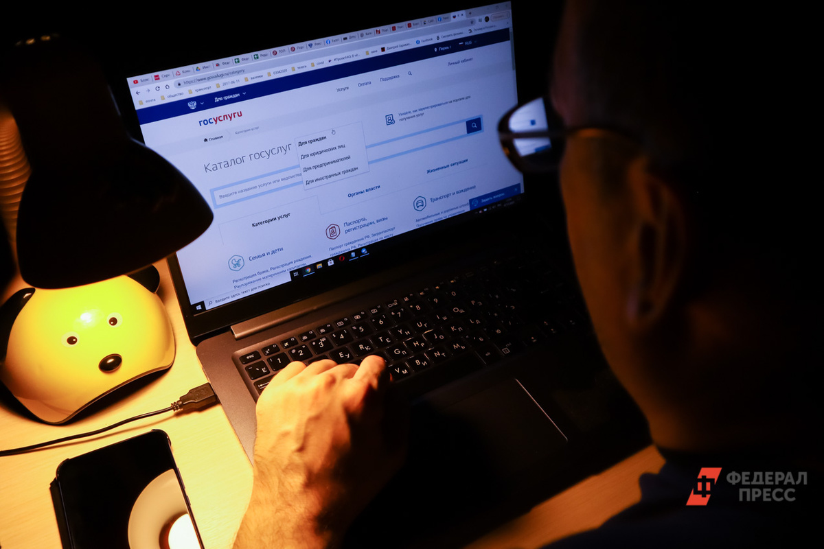 Мошенники крадут доступ к личным кабинетам россиян.  Фото: ФедералПресс / Елена Майорова