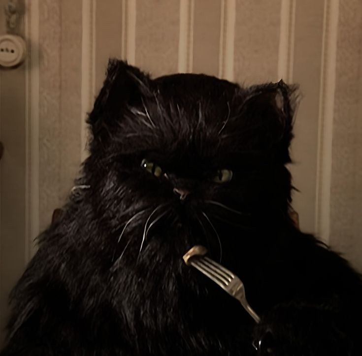 Кот Бегемот.