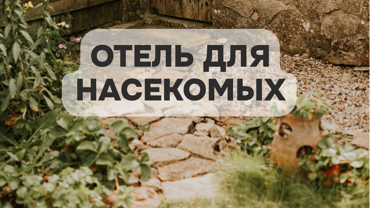 Если у вас есть свой сад, сделайте в нем отель для насекомых