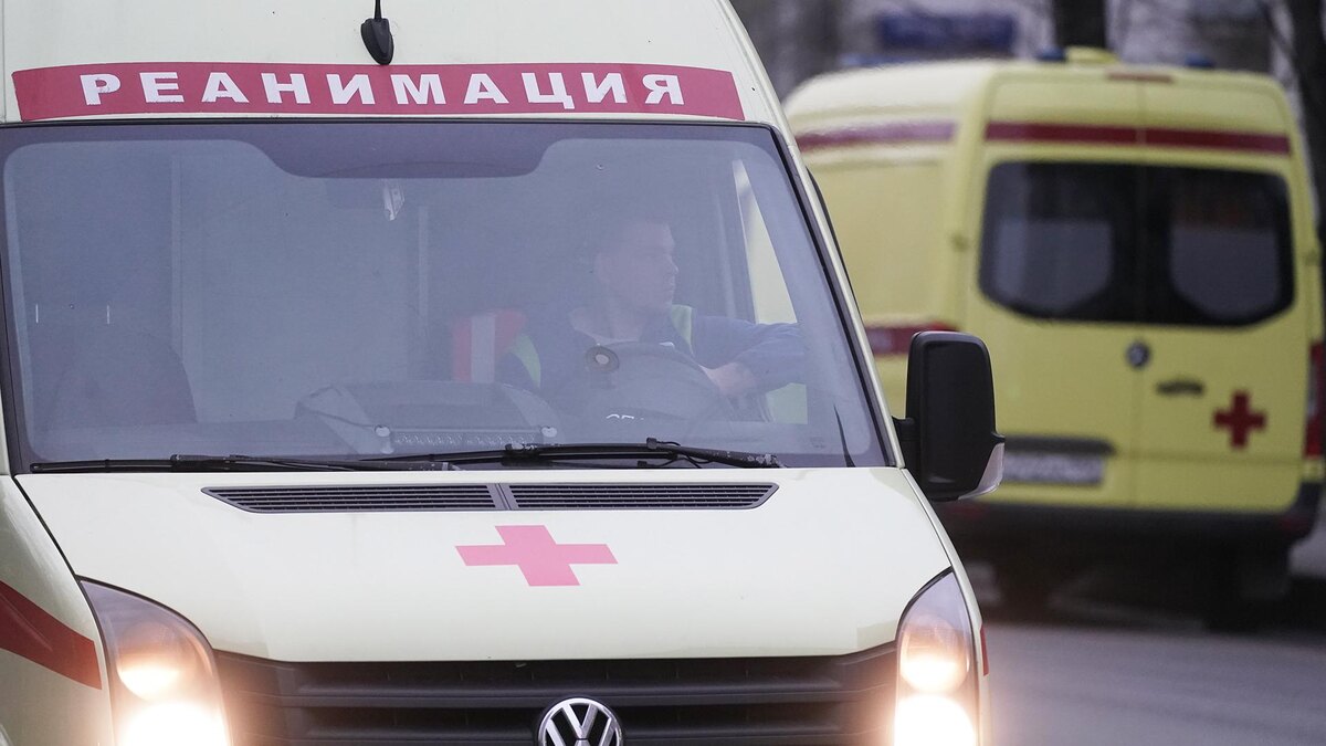    Фото: ИЗВЕСТИЯ/Эдуард Корниенко