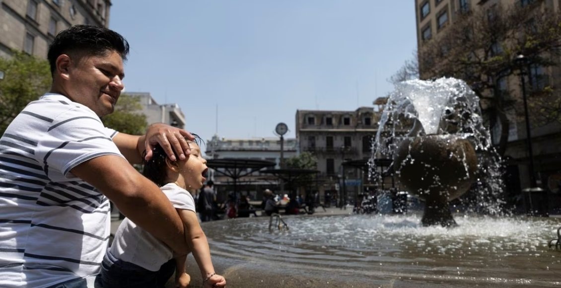    Фото: из открытых источников