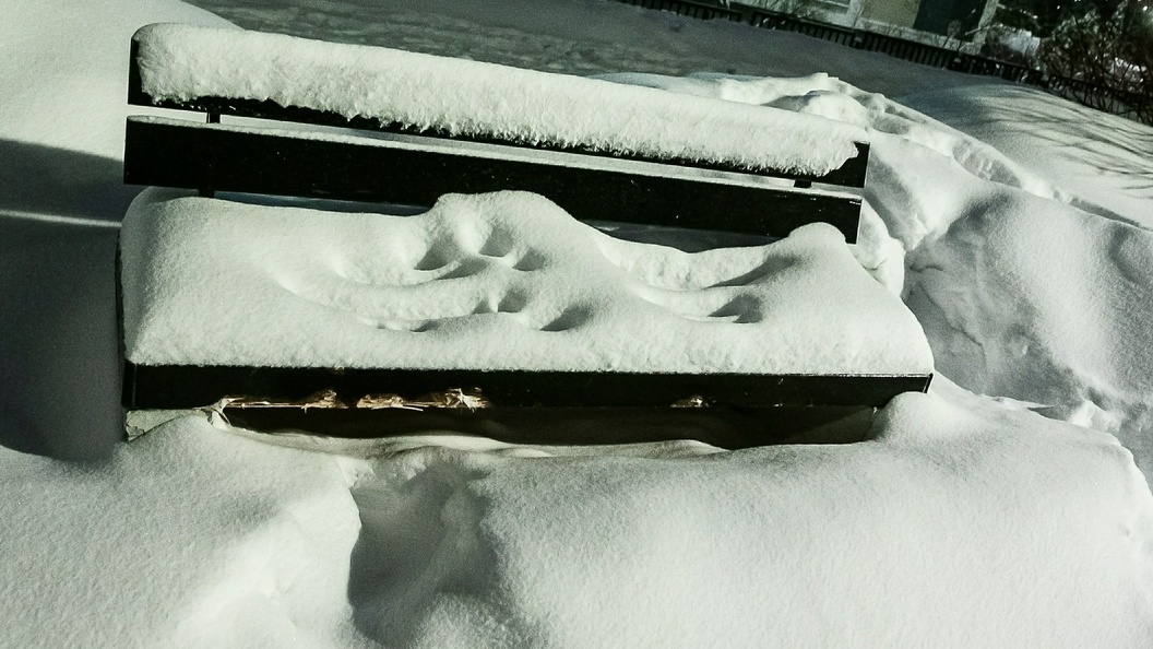    Фото: © Roman Denisov/Globallookpress