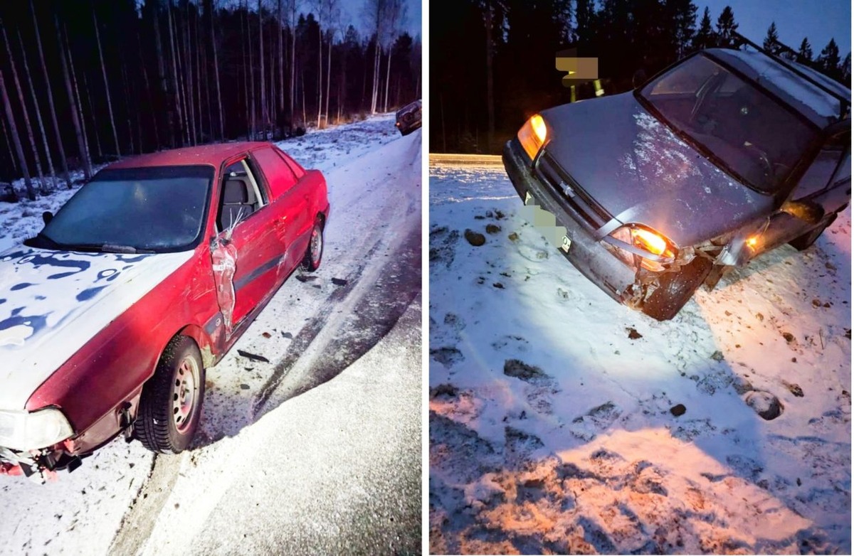    Фото: Госавтоинспекция Карелии / "ВК"