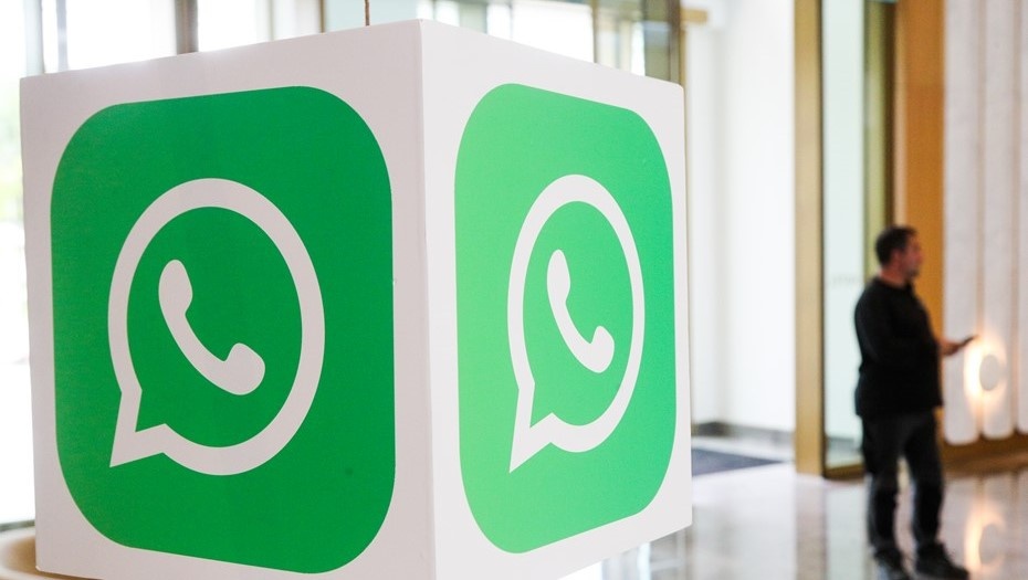    Автор фото: Алексей Белкин/NEWS.ru/ТАСС