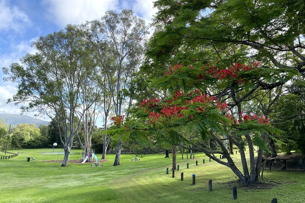 Внук называет эту детскую площадку "моя площадка", потому что она в течение воскресного дня бывает вообще пустой; Брисбен, Квинслэнд, Австралия; здесь и далее - фото из домашнего архива