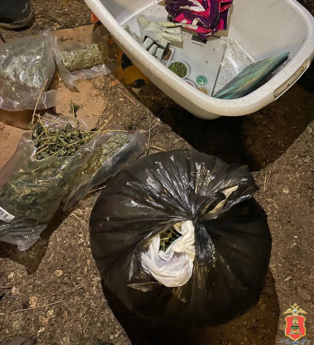В Тверской области ликвидировали ферму по культивированию марихуаны