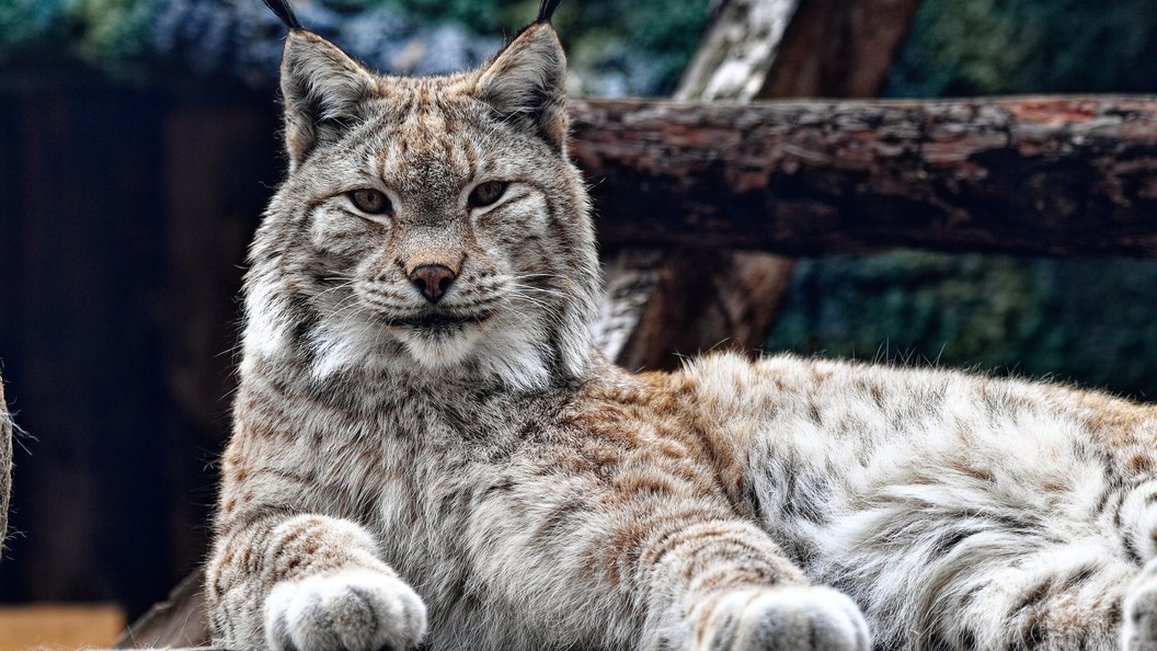    Фото: Komsomolskaya Pravda/GlobalLookPress