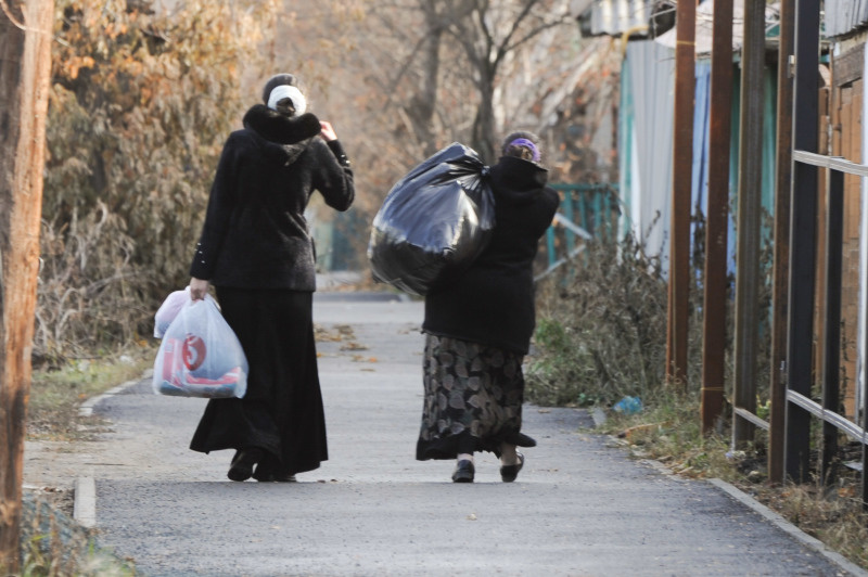    Фото: Vadim Akhmetov/Globallookpress