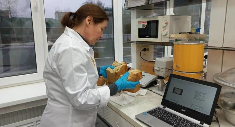    Специалисты в Татарстане проверили удмуртскую муку на картофельную болезнь