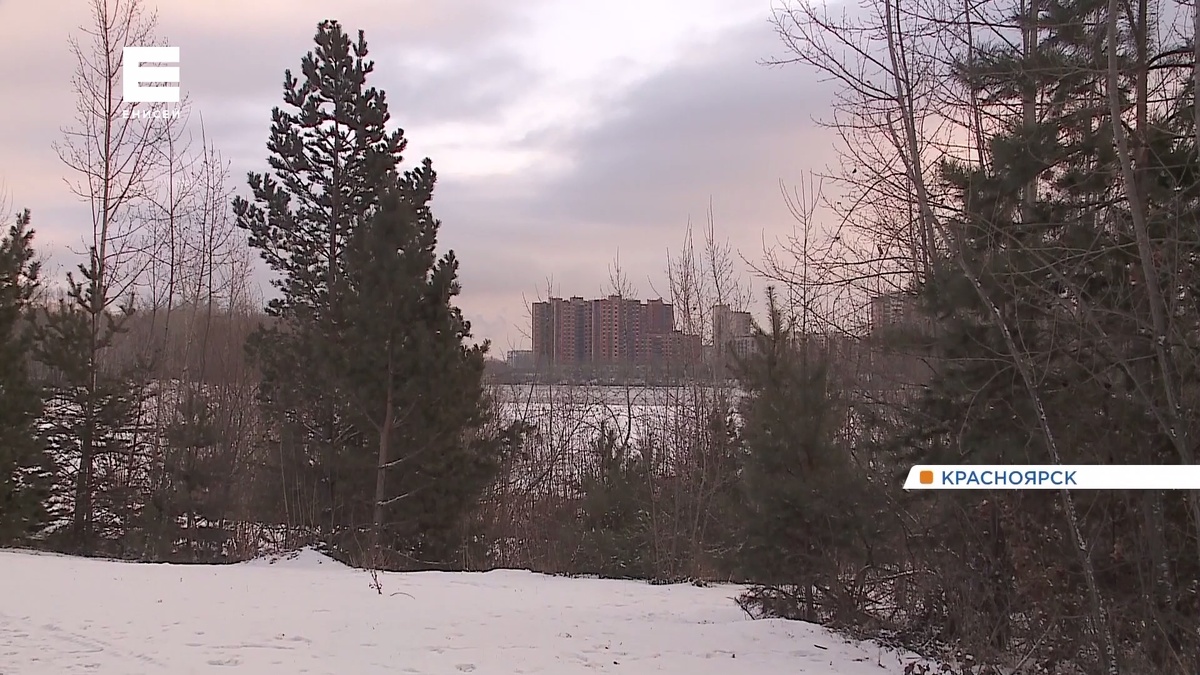     В Красноярске к середине недели снова потеплеет