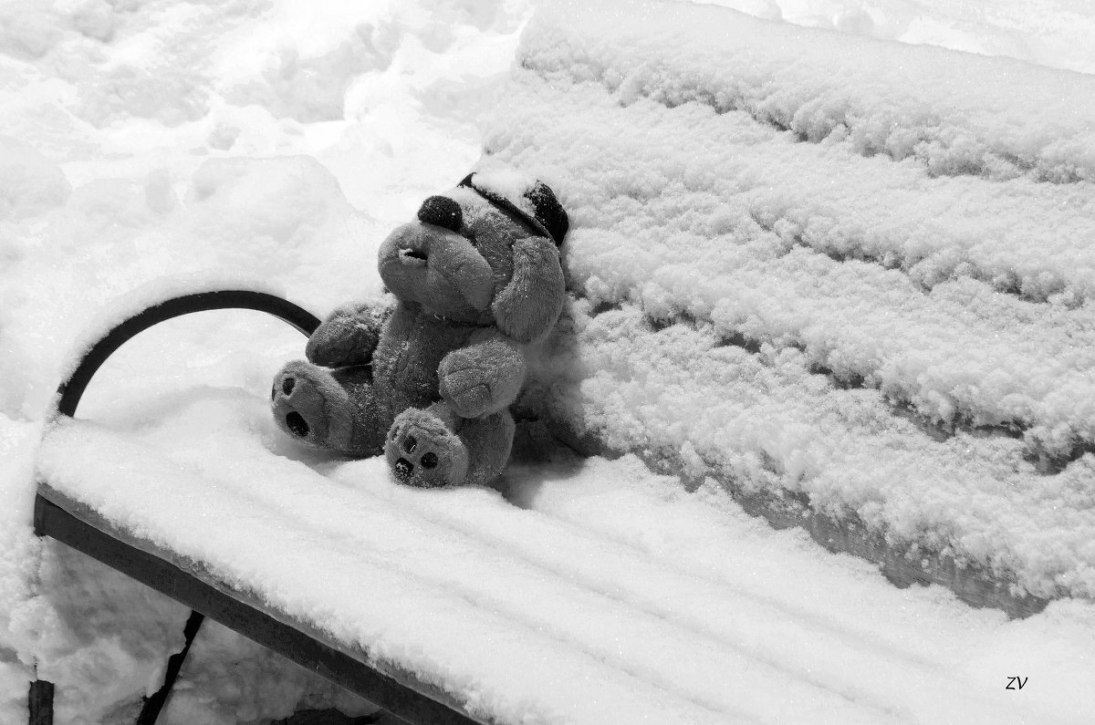 Печаль зимы. Печаль зимы. Грустная зима. Печальный снег. Зима одиночество.