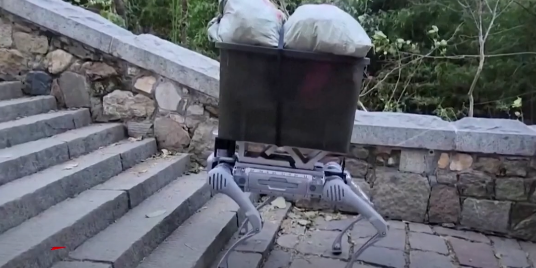 В Китае робособаки начали борьбу с мусором на горе Тайшань