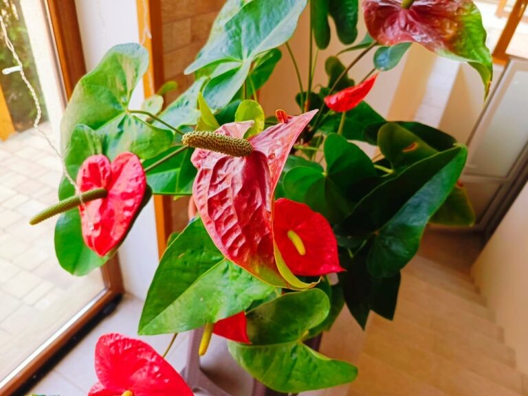    Фото: Автор: Виктория Самойленко / Общественная Служба Новостей Виктория Самойленко