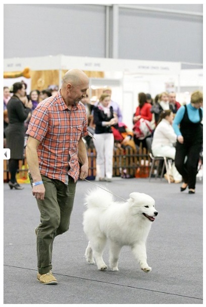 Фото предоставлено автором, Корюкиной Н.А.