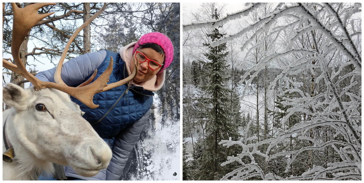 Фото автора.